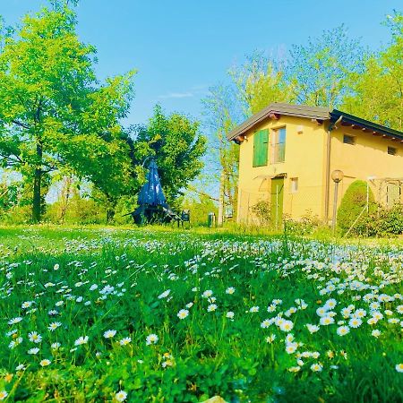 San Donnino della Nizzola B&B Nido Sui Laghi المظهر الخارجي الصورة